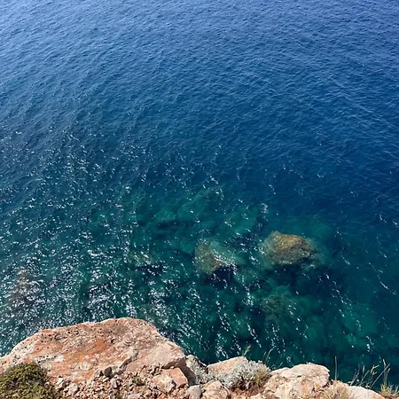Koko's Ston